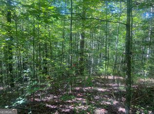 0 Conasauga Rd #13, Ellijay, GA 30540