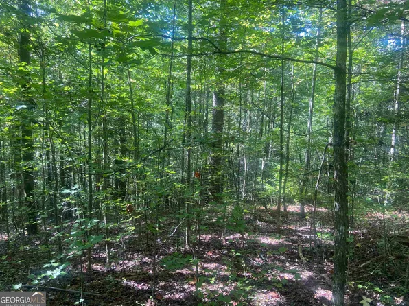 0 Conasauga Rd #13, Ellijay, GA 30540