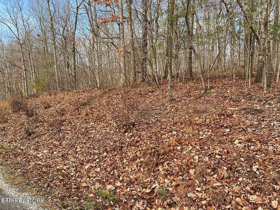 2nd image of 116 Overlook Cv Lot 167