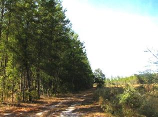 Vacant NE, Lee, FL 32059