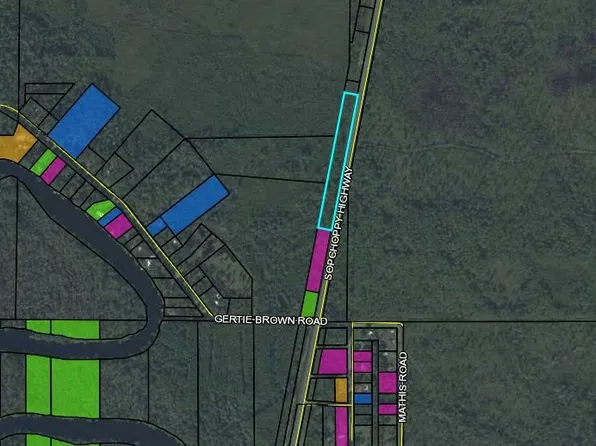 0 Sopchoppy Hwy, Sopchoppy, FL 32358
