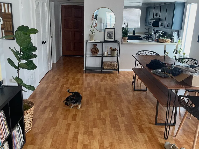 251 Knox St #B — Photo 1