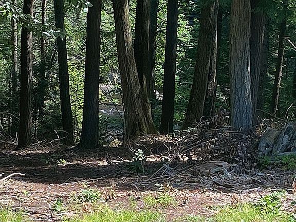 4th image of 77 Hopewell Hts