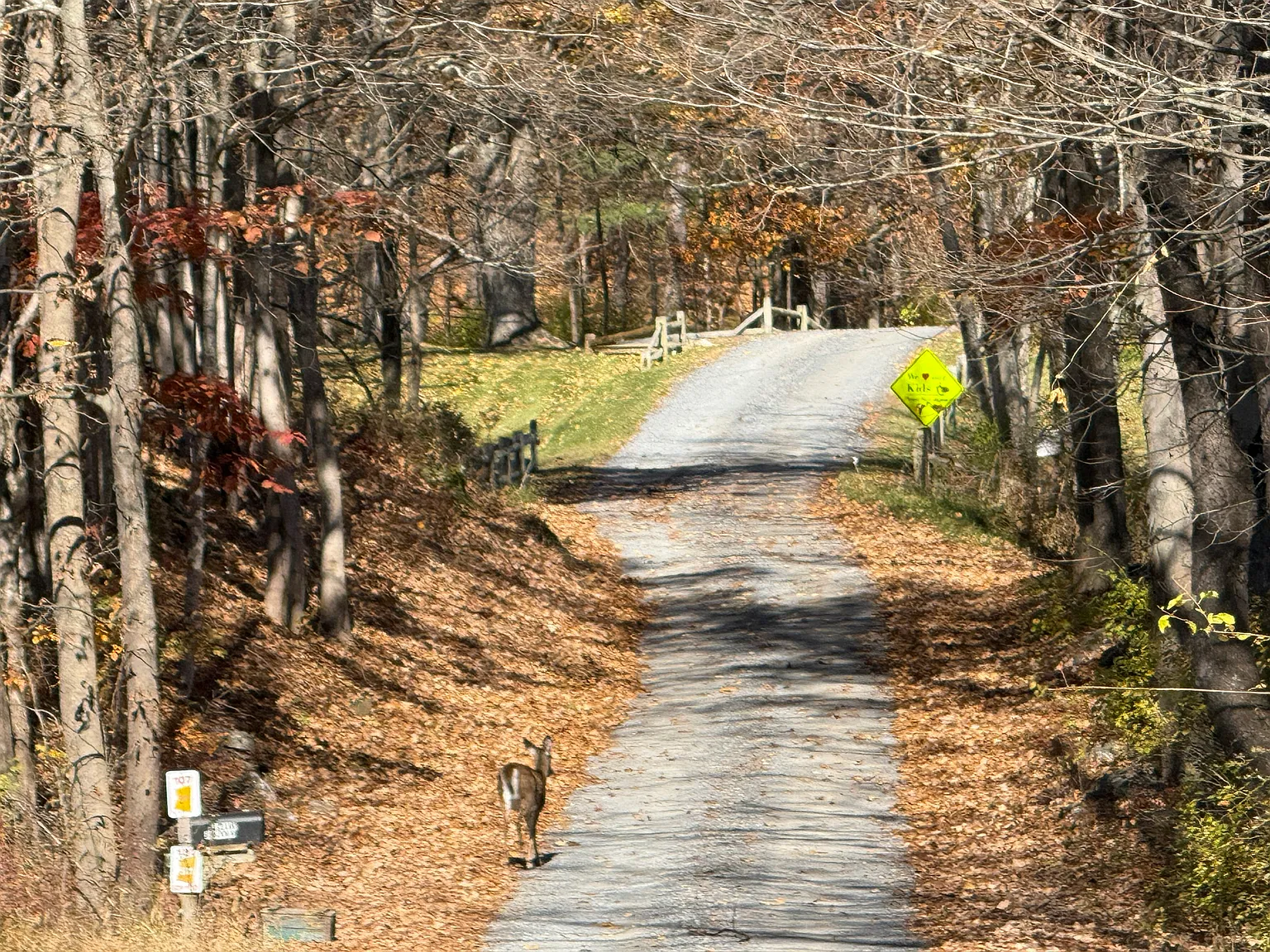 97 Taconic Creek Rd — Photo 2