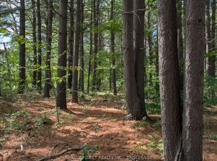 0 Davey Rd, Central Frontenac, ON K0H 1T0