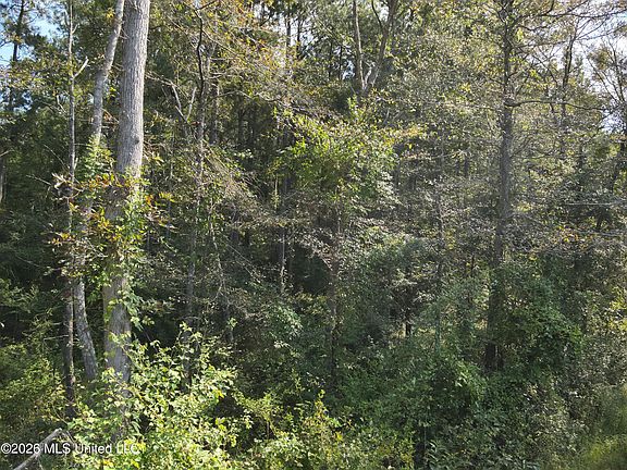 3rd image of Jones Rd