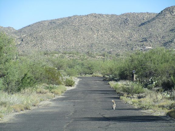 2nd image of 13929 N Cub Dr #0