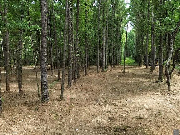 2nd image of TRACT Scott Barr Rd #X