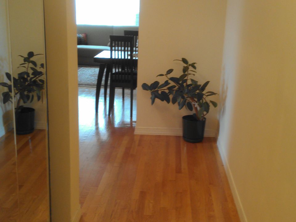 1st image of 3 Town House Pl APT 2h
