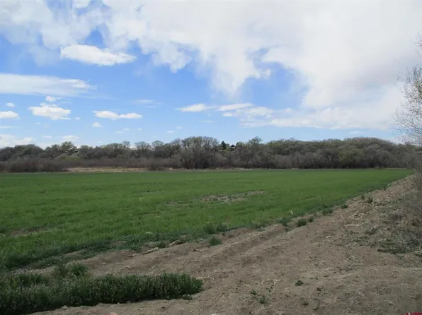 1573 F Lane, Delta, CO 81416