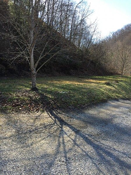 2nd image of 72 Tiny Wright Rd