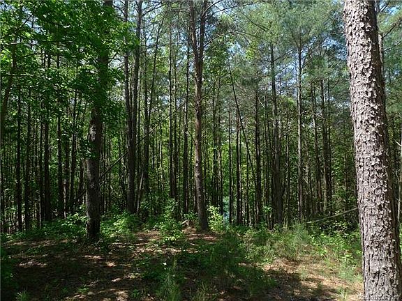 5th image of 1136 Whispering Woods Dr