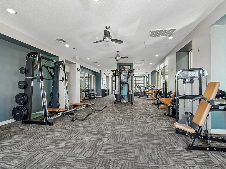 Machines and Free Weights