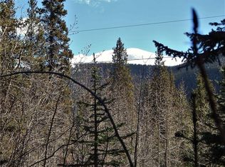 589 Mine Dump Rd, Alma, CO 80420