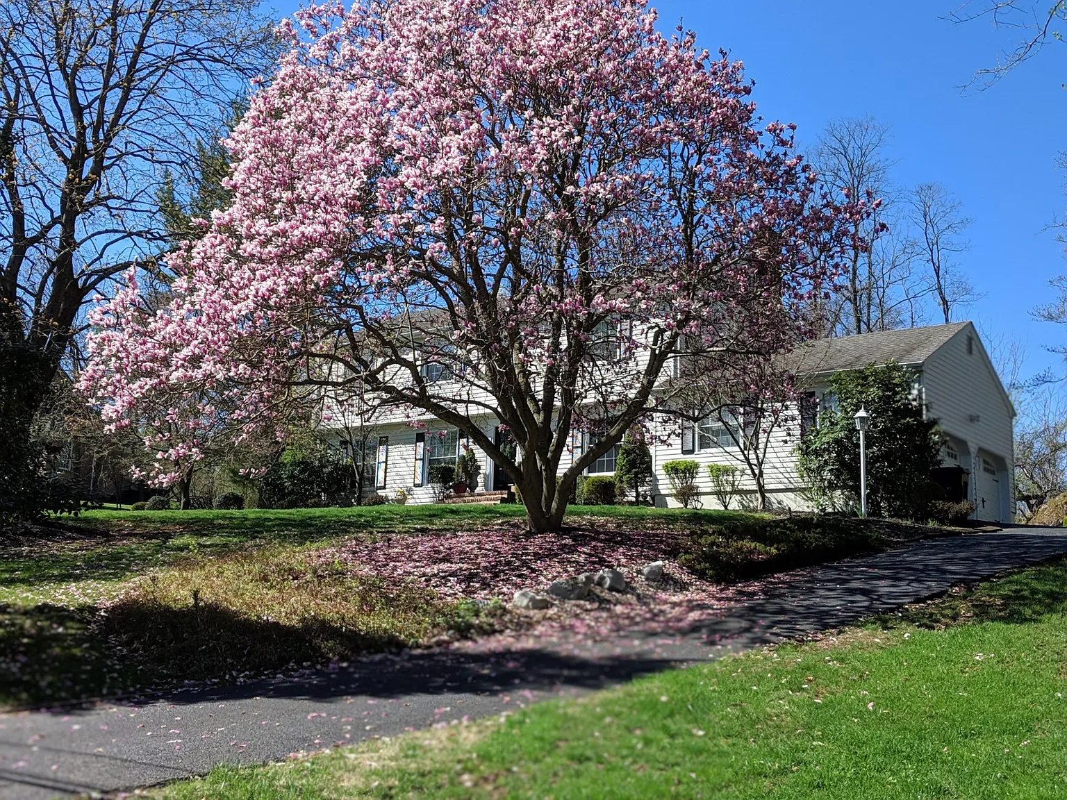 8 Woodhollow Rd photo 1