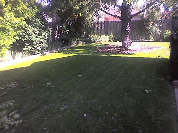 Park like backyard