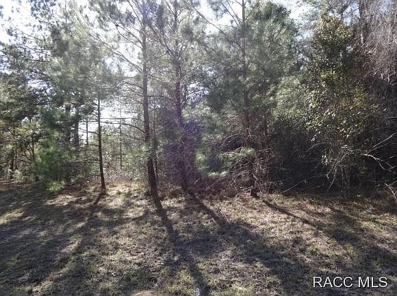 1st image of 1471 E Citrus Springs Blvd