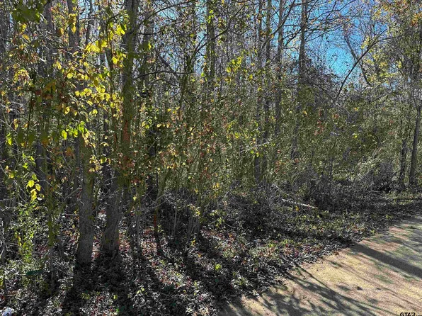 628 Balmorea Dr, Bullard, TX 75757