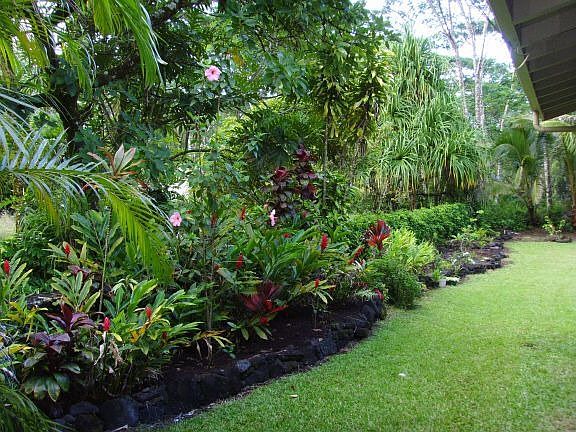 Beautiful Mature Landscaping