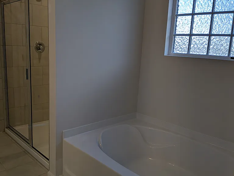 Master Bathroom - Tub and Tiled Walk-In Shower