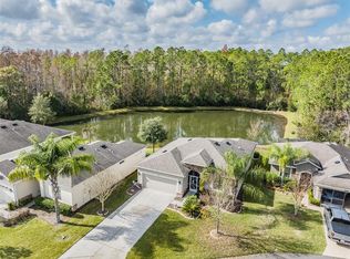 9969 Saunton Dr, San Antonio, FL 33576