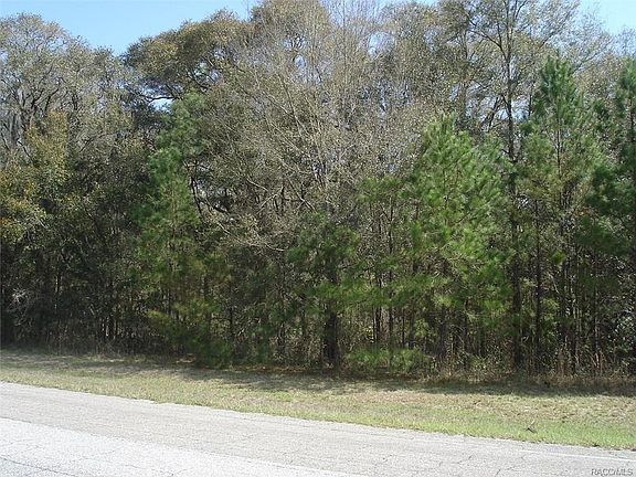 2nd image of 588 E Citrus Springs Blvd