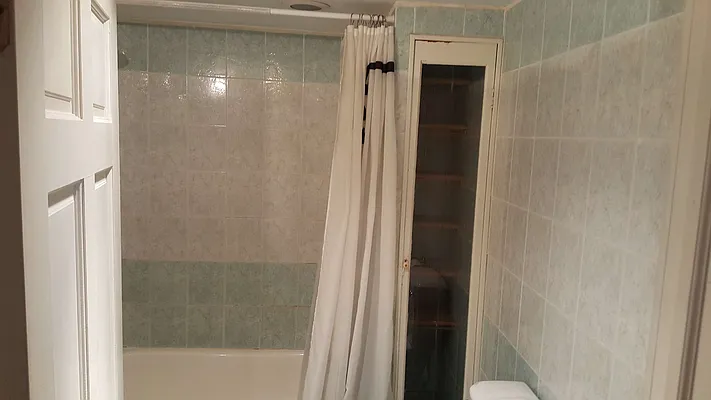 Rented by Rapid Realty Cobble Hill | media 68