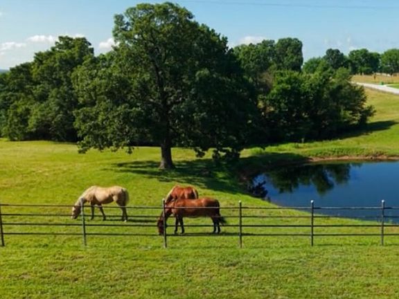 3rd image of 11164 N Farm Road 99