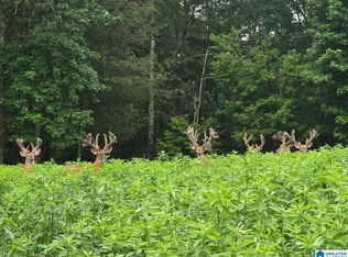 Guinns Cove Rd #0, Hayden, AL 35079