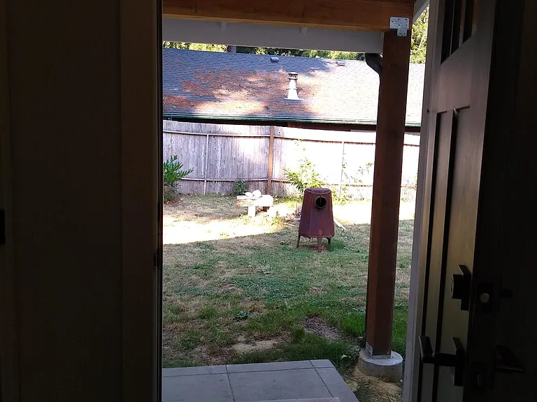 Backyard from rear door