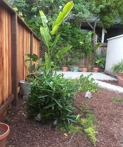 123 Emerson St #B — Photo 4