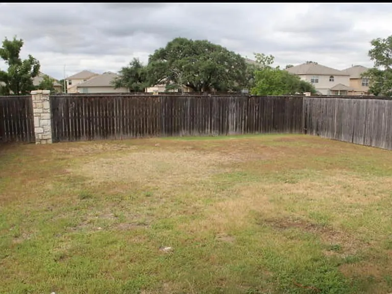 Back yard