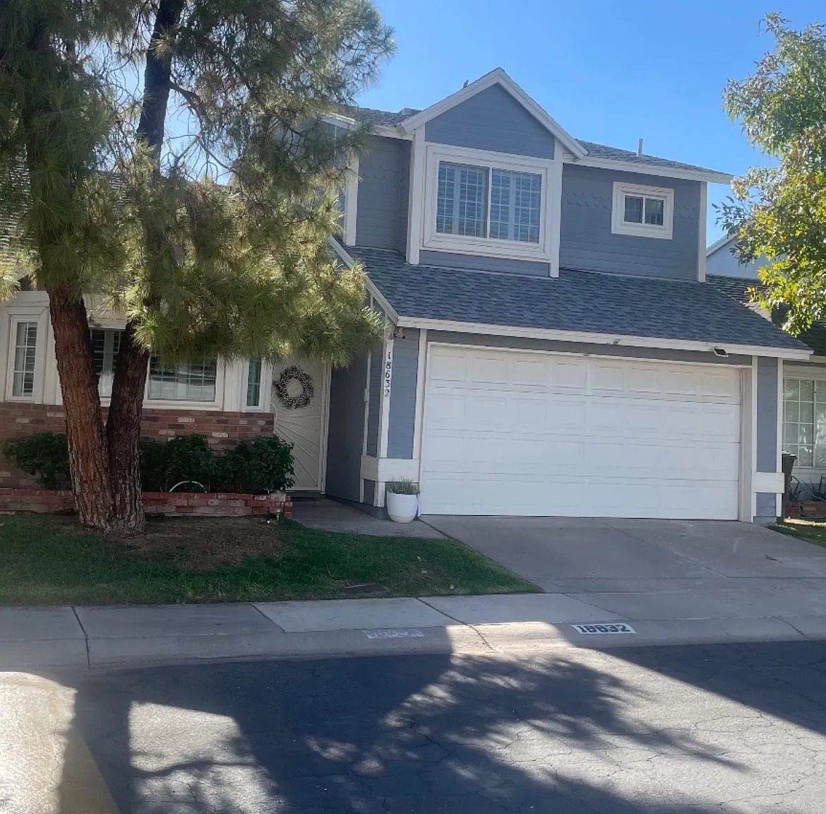 1 bed, 1216 sqft, $950 — Photo 1