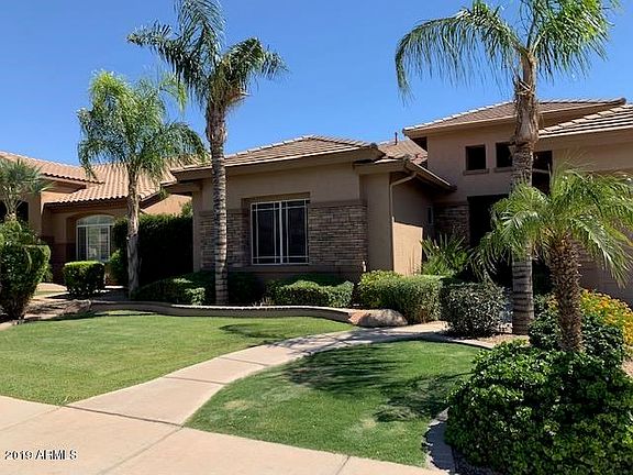 Grass Front Yard