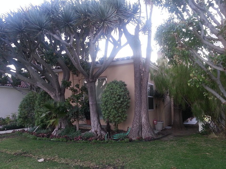1st image of 309 S Palm Dr