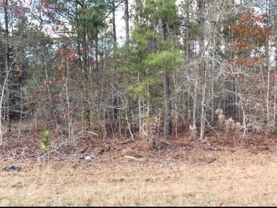 0 Scuffletown Rd, Garfield, GA, 30425