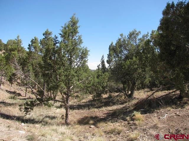 1st image of 747 Pinon Hills Cir