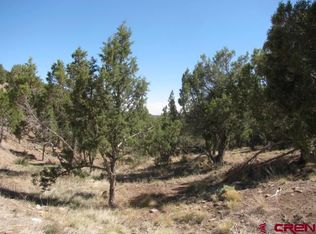 711 Pinon Hills Cir, Arboles, CO 81121