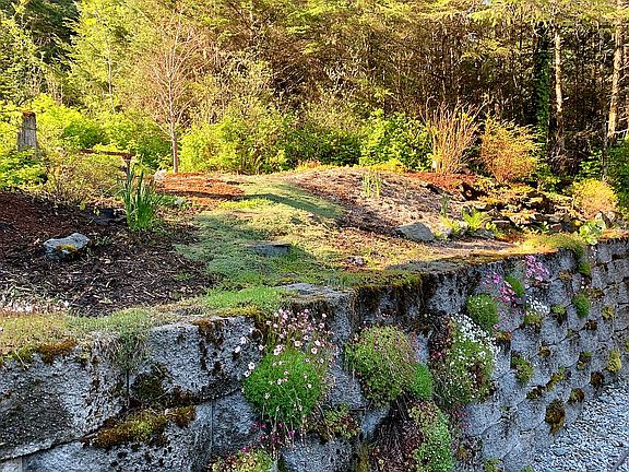 Back yard landscaping.