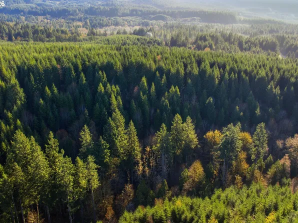 NW Nowakowski Rd, Buxton, OR 97109