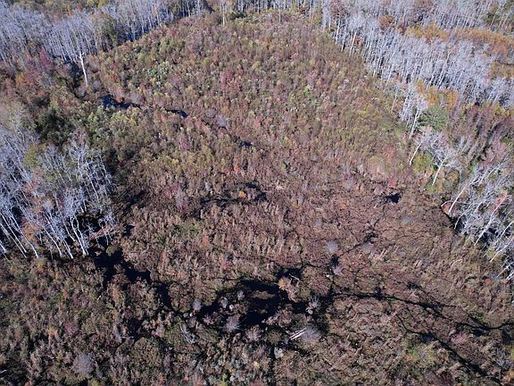 5th image of 52 Acres-TBD Vox Hwy.