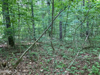 0 Highway 131, Thorn Hill, TN, 37881
