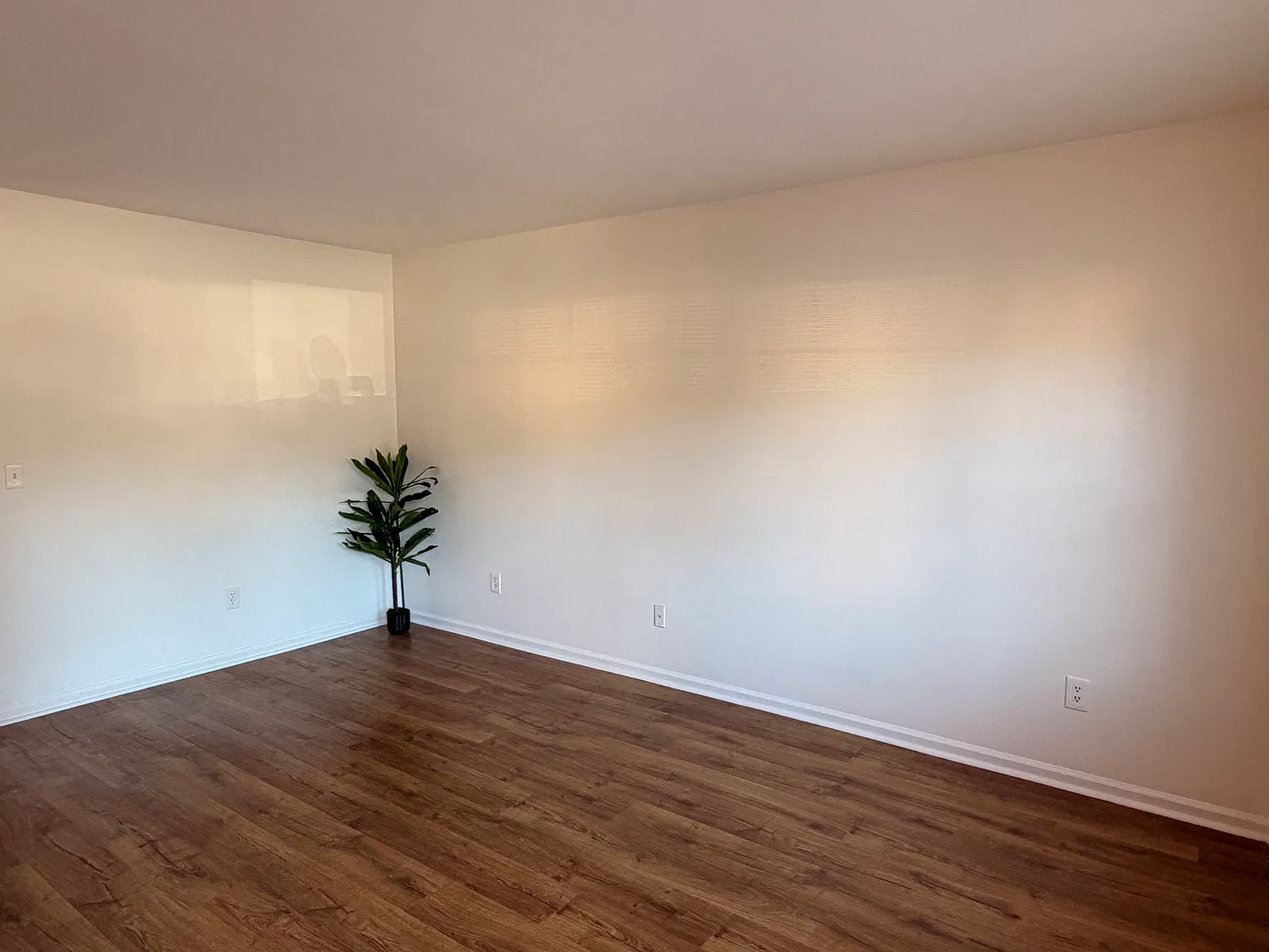 2 bed, 1.5 bath, 1000 sqft, $2,200 — Photo 4