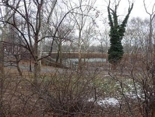 Sold by Citi Habitats | media 11