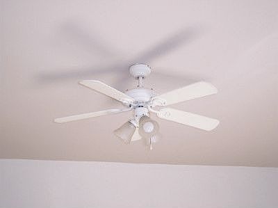 Ceiling Fan in Living Room