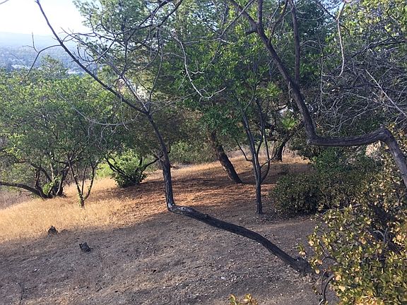 3rd image of 3301 N Coldwater Canyon Ave