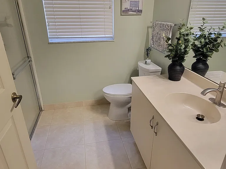 Guest bathroom view 1