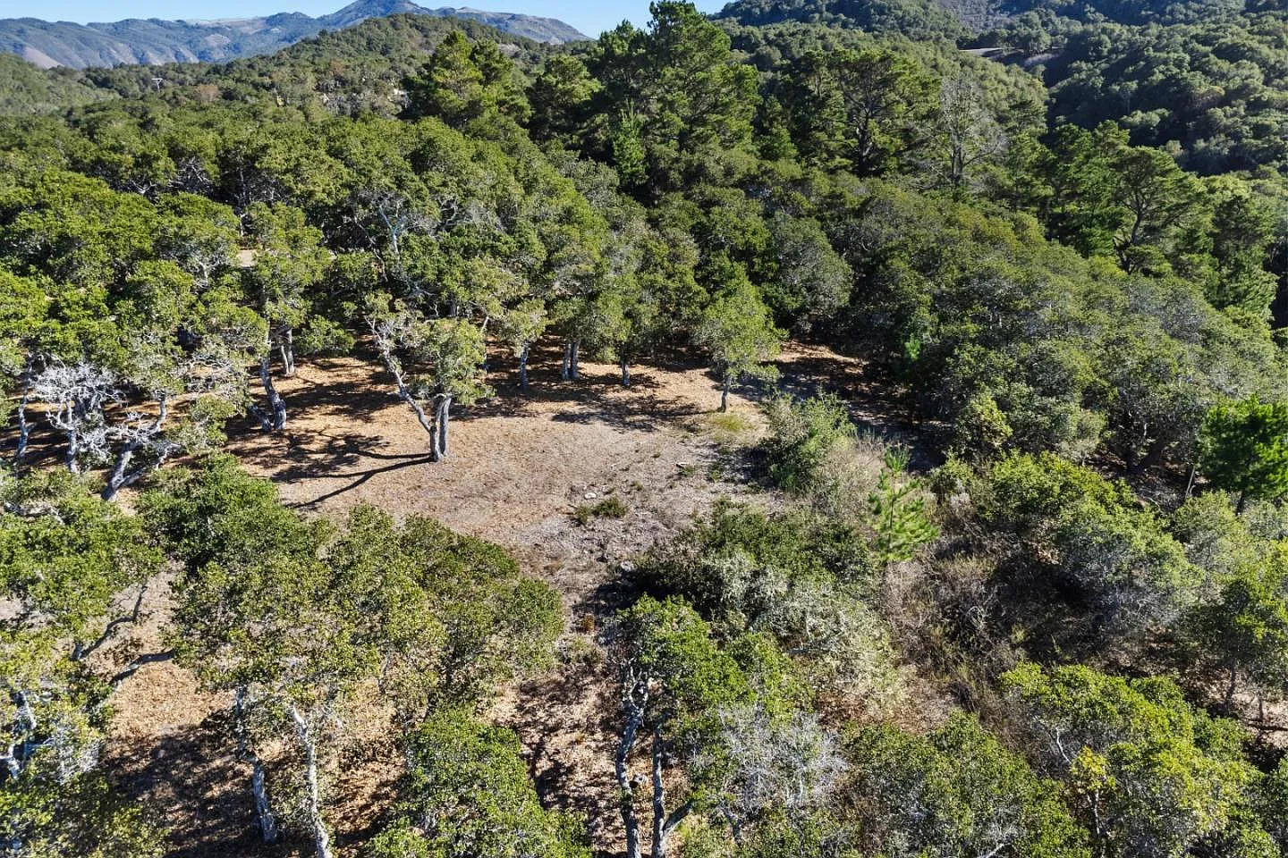 9 Corral Run photo 1