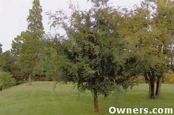 4th image of 3352 Foxwood Blvd