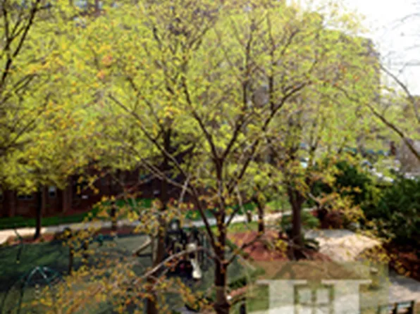 530 Grand Street image 1 of 8